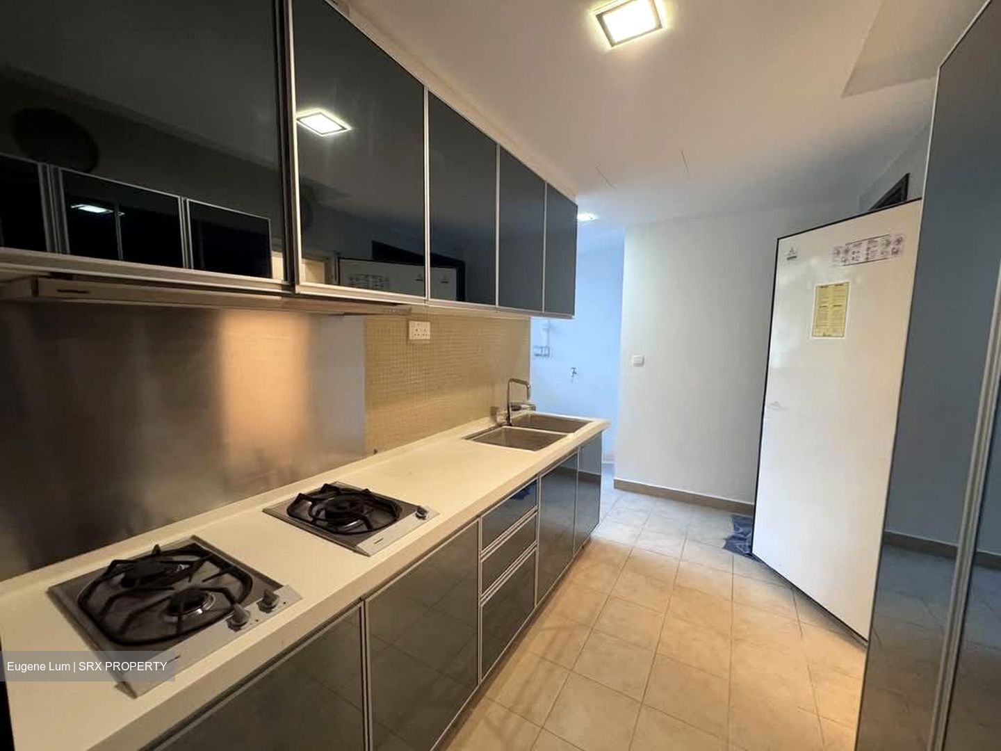 CityVista Residences (D9), Condominium #565237461